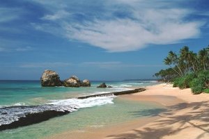 Песчаный берег Шри-Ланки